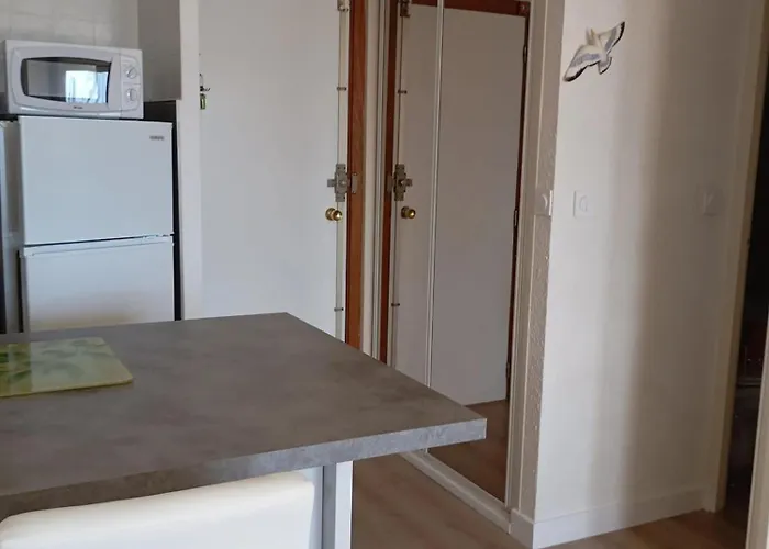 Agreable A 28 M² Avec Piscine * アグド